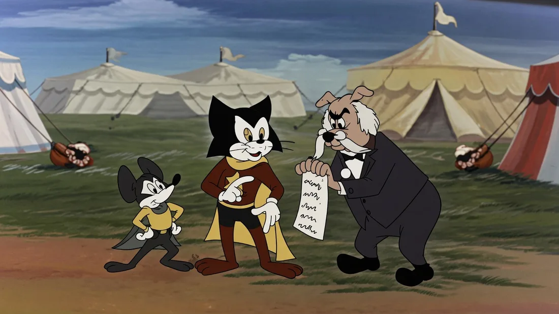 Gato Corajoso