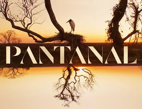 Pantanal