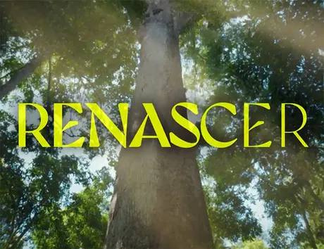 Renascer